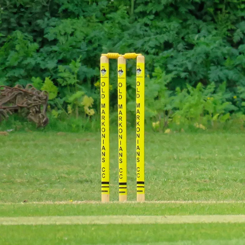 Match Stumps & Bails Set
